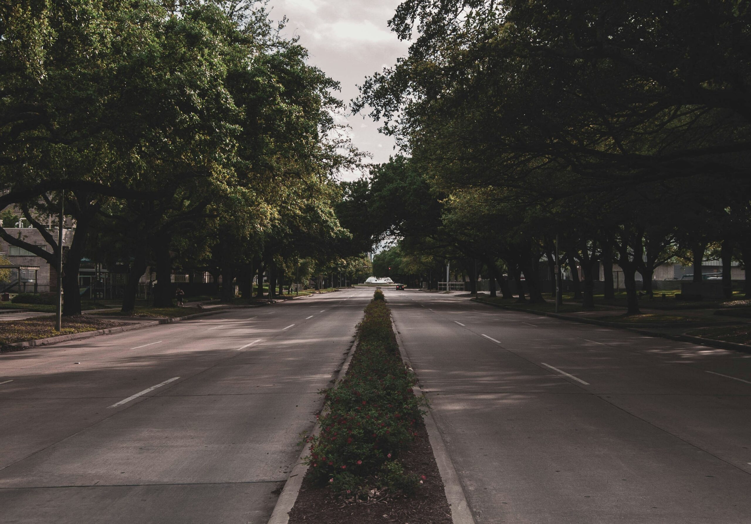 Process and Behavioral Addiction Treatment in Houston | Heights Behavioral Health, Houston