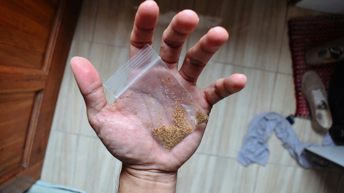 Kratom: Is It Safe? What Houston Families Should Know | Heights Behavioral Health, Houston