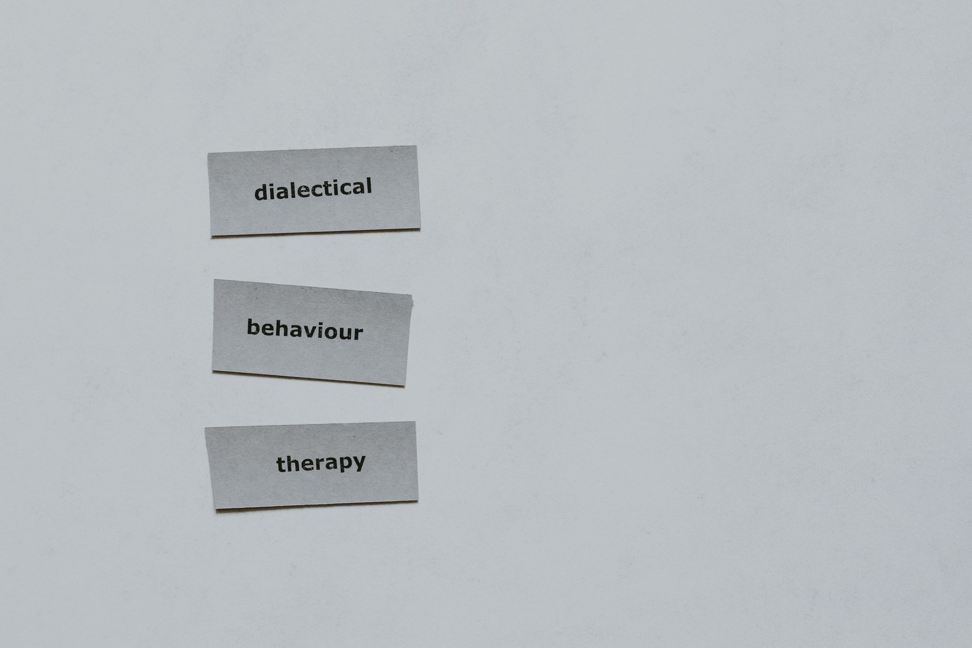 DBT Therapy in Houston: Skills for Emotion Regulation | Heights Behavioral Health, Houston