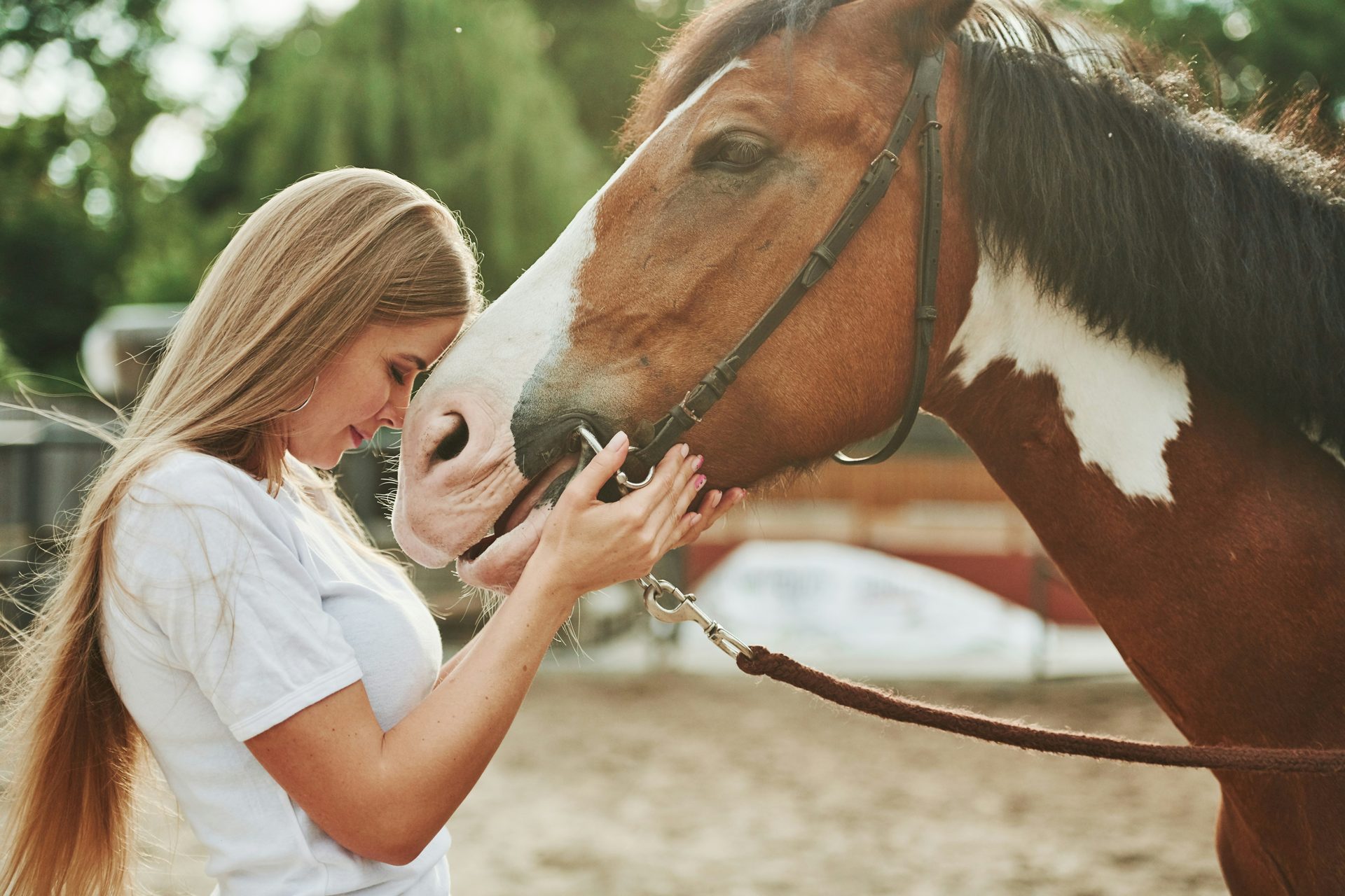 Woman resting her forehead against a therapy horse during an equine assisted therapy session at Heights Behavioral Health in Houston